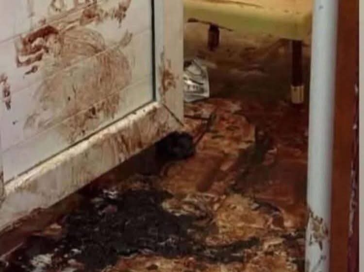 جدل واسع حول وفاة الطبيبة بان زياد طارق