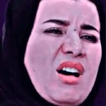 حملات هجوم شخصي وجدل حول محامية