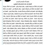 بيان الصدر ينتقد “الوقحين” في الحشد الشعبي ويثير جدلاً