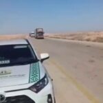 عبور المواشي السعودية عبر العراق بدلاً من الأردن