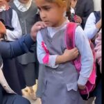 Viral Story of an Orphan Girl Evokes Widespread Sympathy
