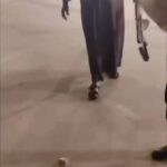 2025-11-18: Political Leaders and Public Celebrate National Football Team’s Victory Employee Captures Wolf in Government Building