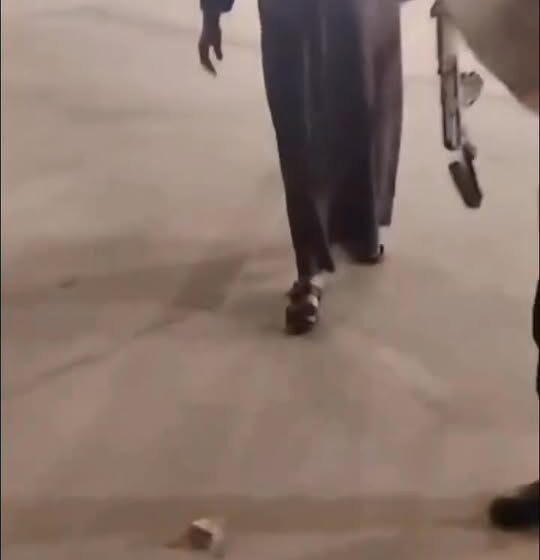 Employee Captures Wolf in Government Building