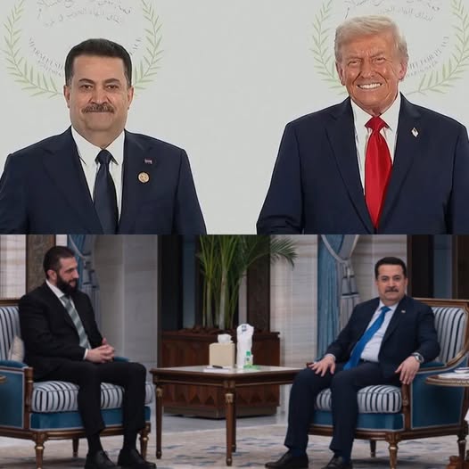 Mustafa Sanad’s Scathing Critique of the Political Process