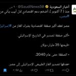 Saudi Government Account Criticized for Targeting Egypt