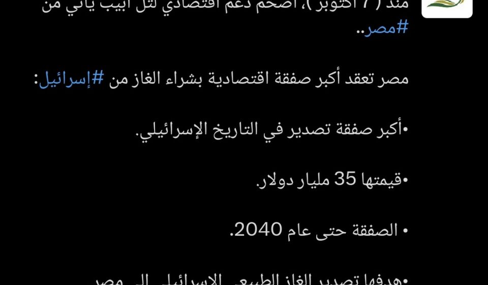 Saudi Government Account Criticized for Targeting Egypt