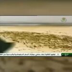 2025-05-05: Reactions to the death of politician Iyad Allawi’s son Escalating Diplomatic Crisis Between Algeria and the UAE