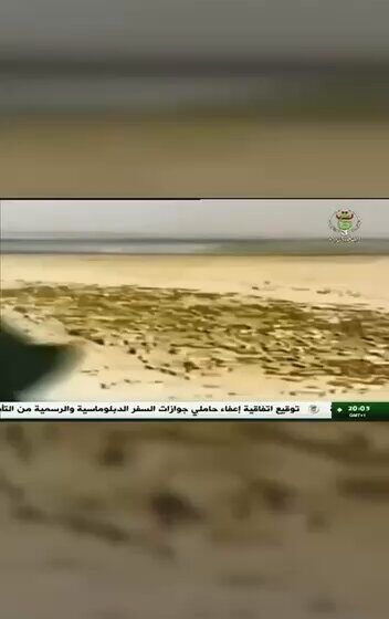 Escalating Diplomatic Crisis Between Algeria and the UAE