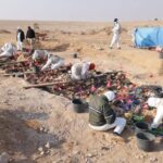 Mass Grave from Anfal Campaign Discovered in Samawah