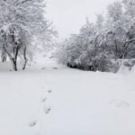 Severe Cold Wave and Snowfall Across Iraq