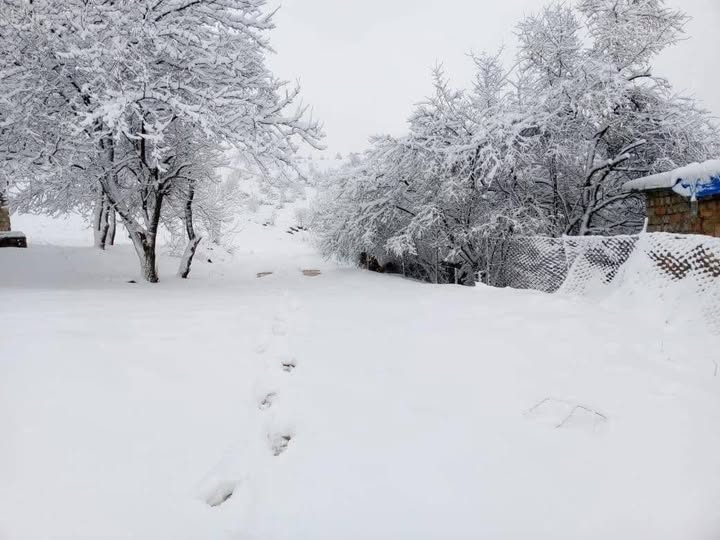 Severe Cold Wave and Snowfall Across Iraq