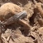 Mass Graves in Anbar Spark Fierce Debate