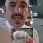 Pork Seizure Reported at Nasiriyah Restaurant