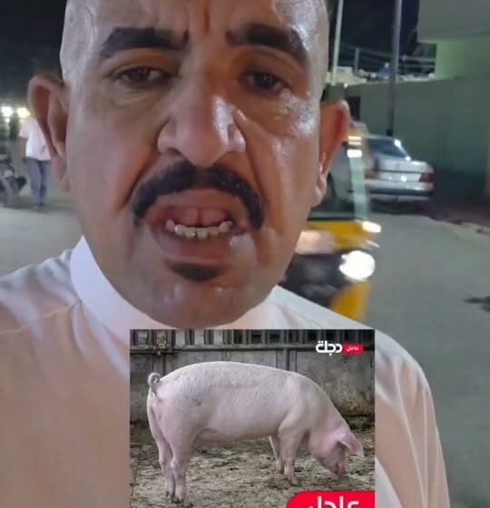 Pork Seizure Reported at Nasiriyah Restaurant